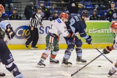 Les-Remparts-de-Tours-VS-Le-Hockey-club-du-Monts-Blanc-1-2-08.12.2018-copyright-Batvision_-37