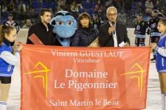 Les-Remparts-de-Tours-VS-Le-Hockey-club-du-Monts-Blanc-1-2-08.12.2018-copyright-Batvision_-48